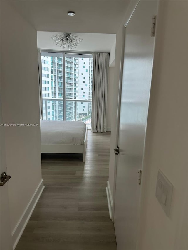 corridor featuring dark hardwood / wood-style flooring