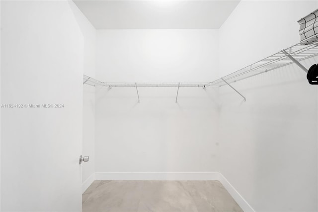 view of spacious closet