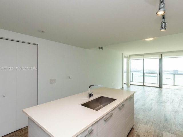 kitchen featuring decorative light fixtures, sink, a wall of windows, a kitchen island with sink, and light hardwood / wood-style floors