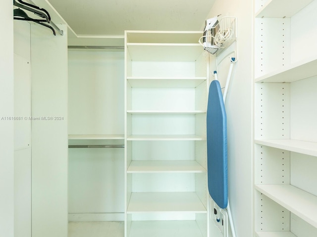 view of spacious closet