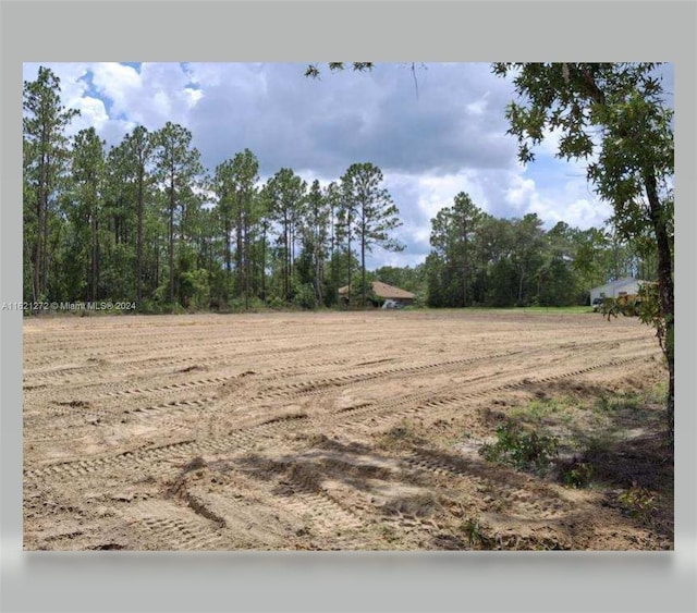 TBD SW 137th Court Rd, Ocala FL, 34481 land for sale