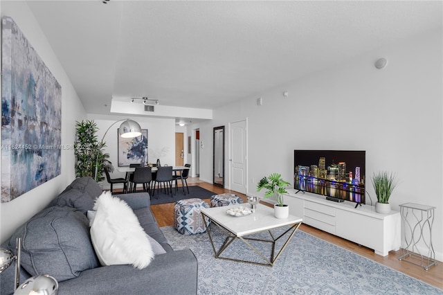 living room with wood-type flooring