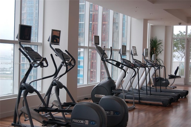 gym featuring wood-type flooring