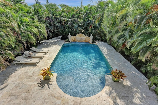 view of pool with pool water feature and a patio area