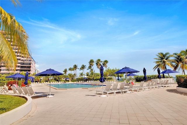 view of swimming pool with a patio area