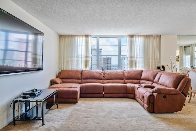 living room featuring a textured ceiling and light carpet