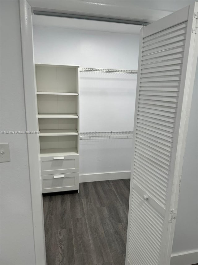 spacious closet featuring dark hardwood / wood-style floors