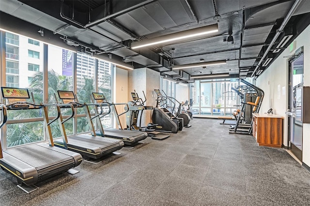 workout area featuring expansive windows and a wealth of natural light