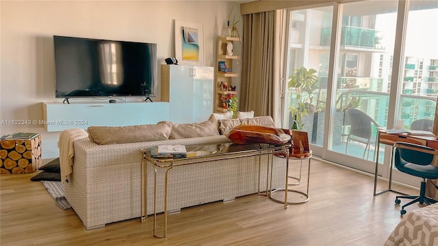 living room featuring a healthy amount of sunlight and light hardwood / wood-style floors