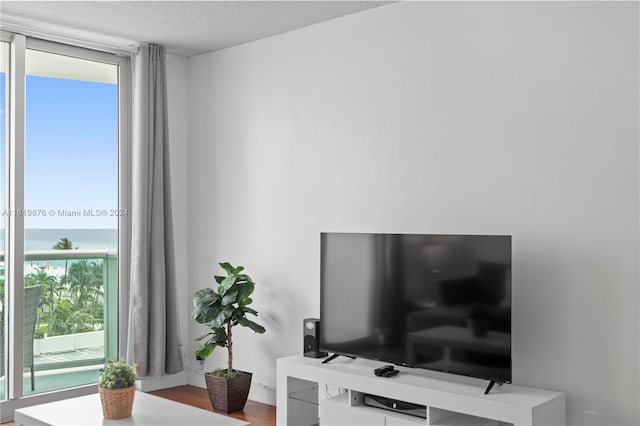 room details with a textured ceiling and wood-type flooring