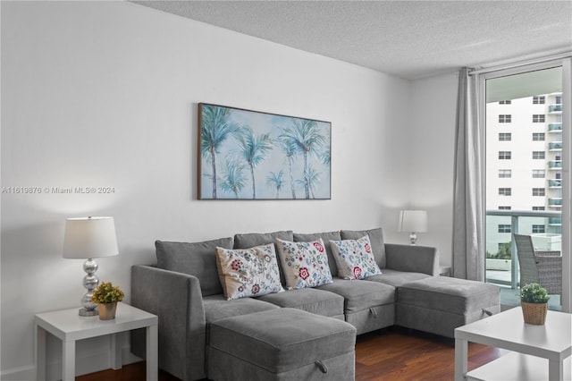 living room with a textured ceiling, plenty of natural light, and dark hardwood / wood-style floors