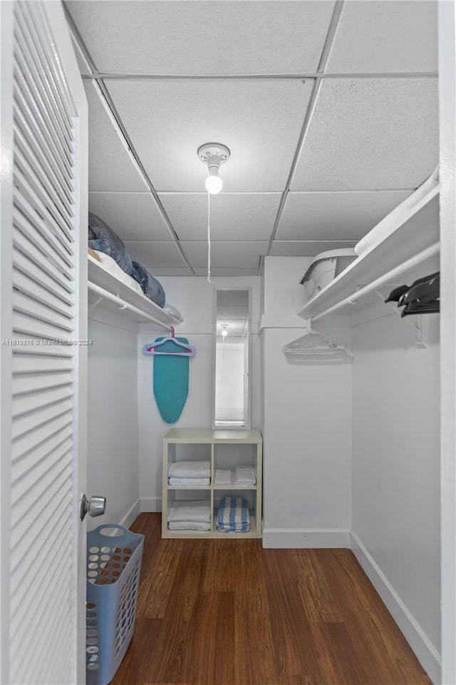 spacious closet with hardwood / wood-style flooring and a paneled ceiling