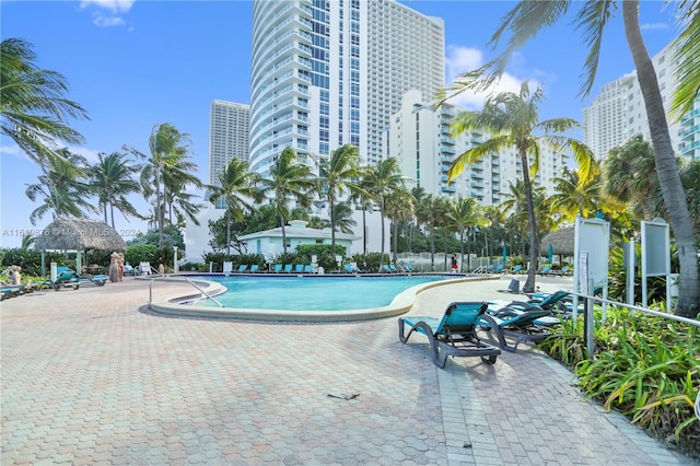 view of pool featuring a patio area