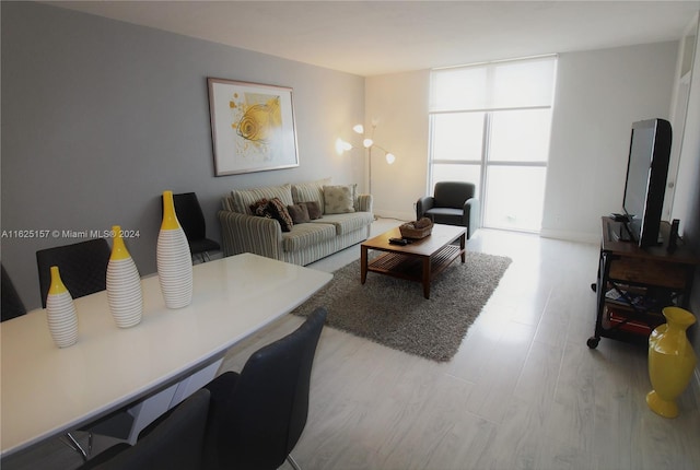 living room with expansive windows and light wood-type flooring