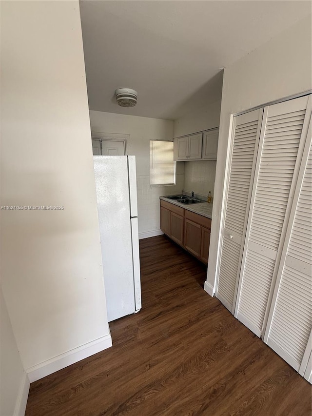 kitchen with sink, dark hardwood / wood-style floors, and white refrigerator