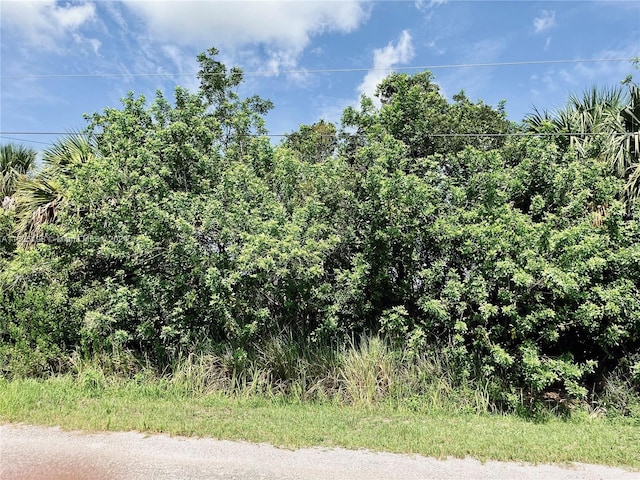 2473 SW Jamaica Ave, Palm Bay FL, 32908 land for sale