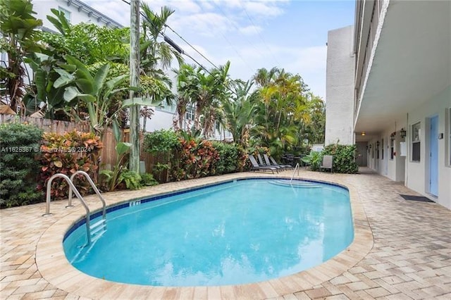 view of pool with a patio area