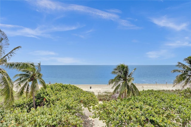 view of water feature featuring a beach view