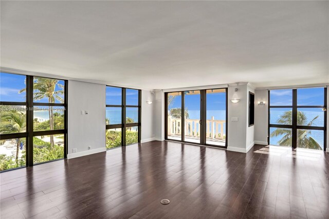 empty room with wood-type flooring, expansive windows, and plenty of natural light