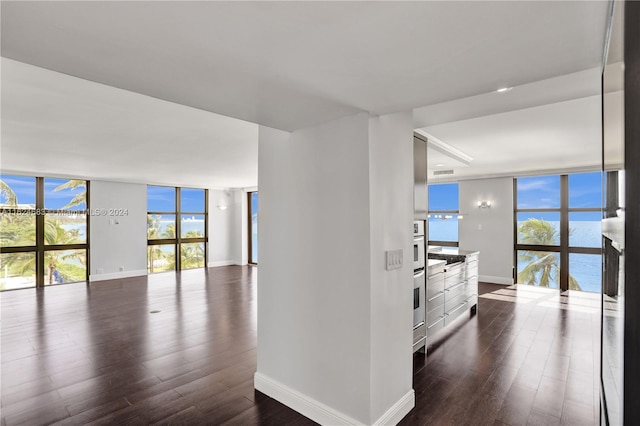 hallway featuring dark hardwood / wood-style floors, a healthy amount of sunlight, and expansive windows