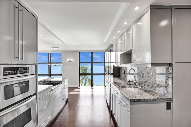 kitchen with dark hardwood / wood-style flooring, light stone counters, sink, and plenty of natural light