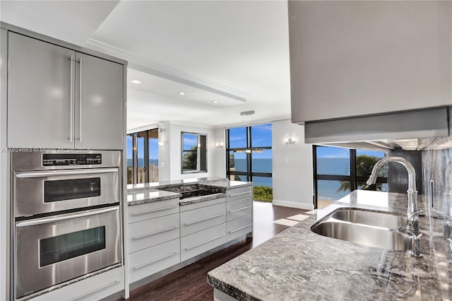 kitchen with appliances with stainless steel finishes, sink, a water view, dark hardwood / wood-style floors, and light stone countertops