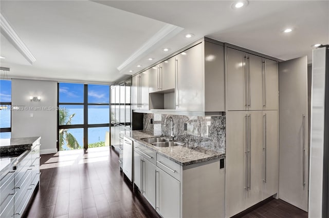 kitchen featuring backsplash, dark wood-type flooring, light stone counters, a wall of windows, and sink