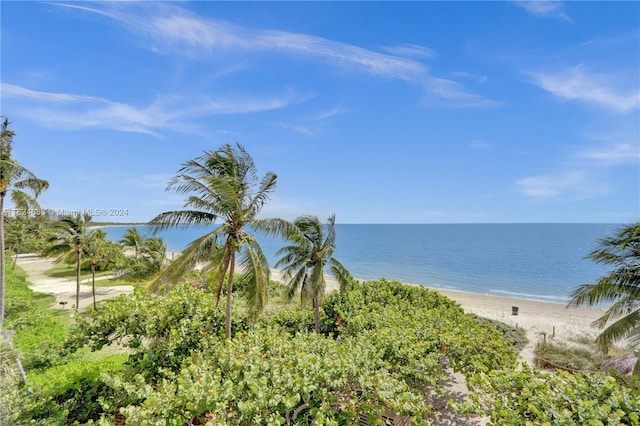 water view with a view of the beach