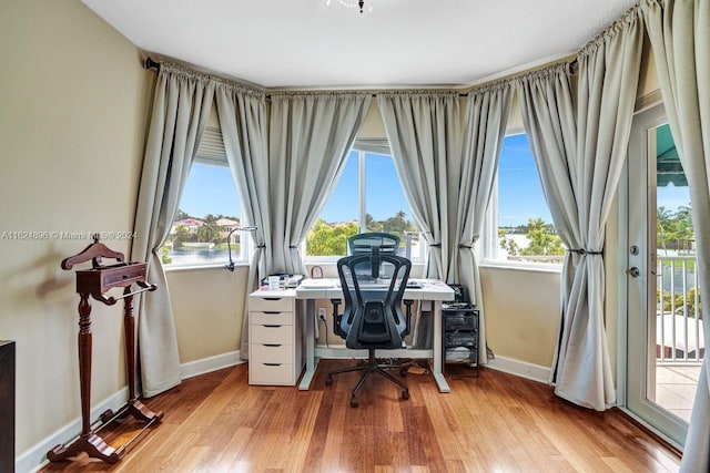 office space featuring light wood-type flooring and plenty of natural light