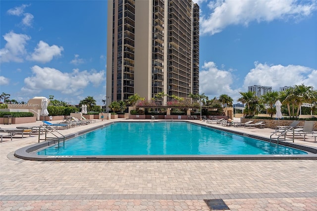 view of pool with a patio