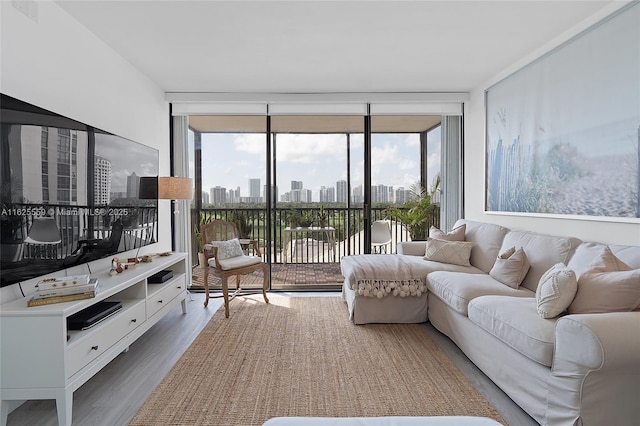 living room featuring floor to ceiling windows and wood-type flooring