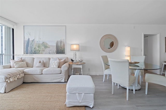 living room featuring light wood-type flooring