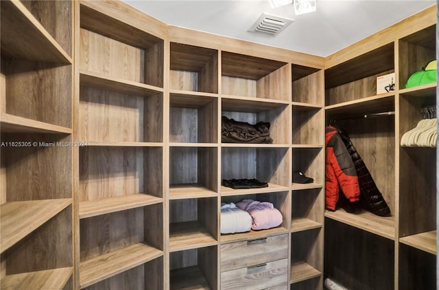 view of spacious closet