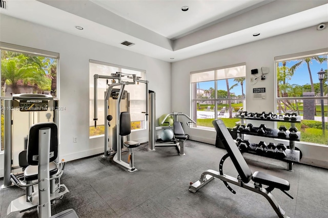 exercise room featuring a raised ceiling