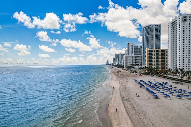 water view with a view of the beach