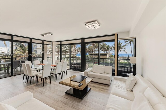 living room with light wood-type flooring, a healthy amount of sunlight, and floor to ceiling windows