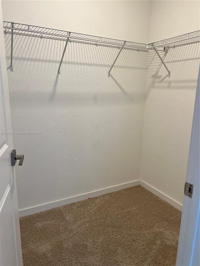 walk in closet with carpet floors