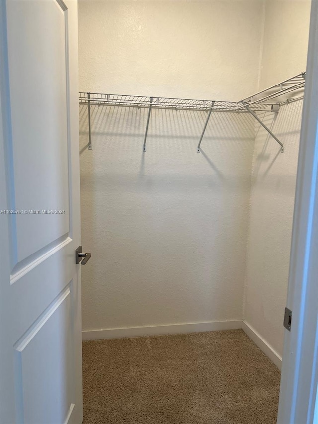 walk in closet featuring carpet floors