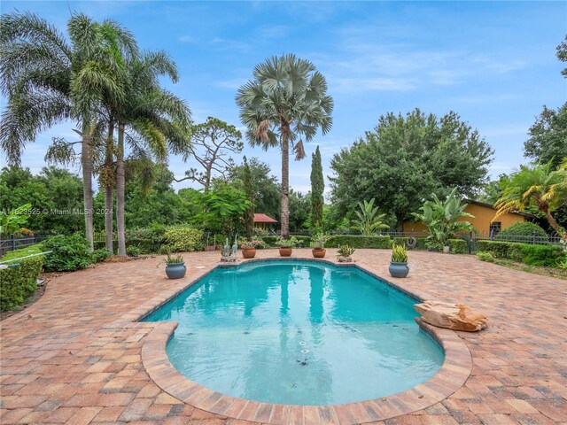 view of pool featuring a patio