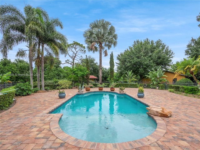 view of swimming pool with a patio