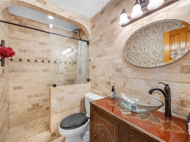 bathroom featuring toilet, vanity, and walk in shower