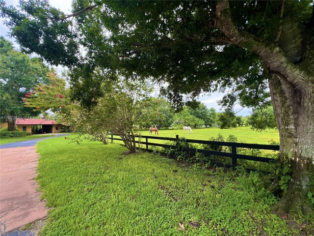 view of yard