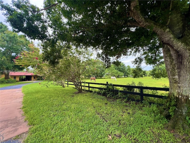 view of yard with a rural view