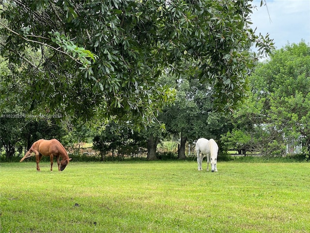 view of community with a rural view and a yard