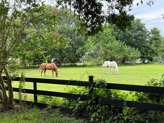 view of yard with a rural view