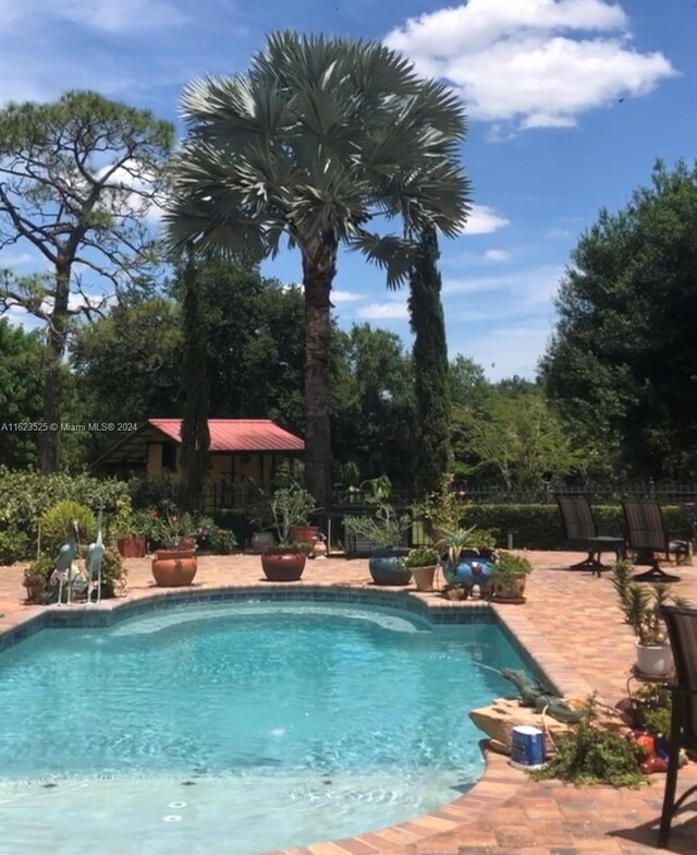 view of pool with a patio