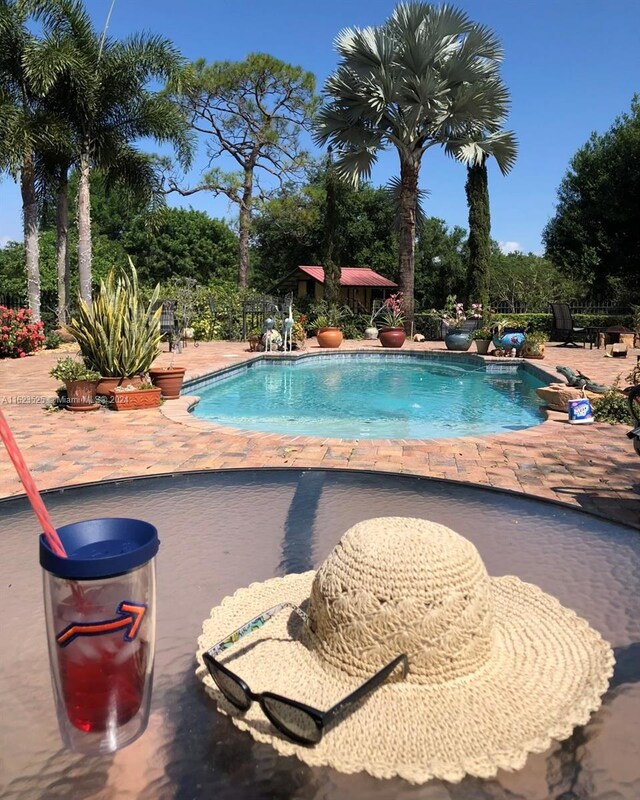 view of pool with a patio