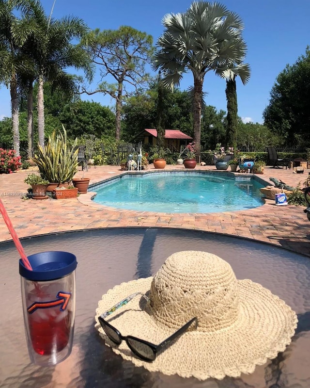 view of pool with a patio area