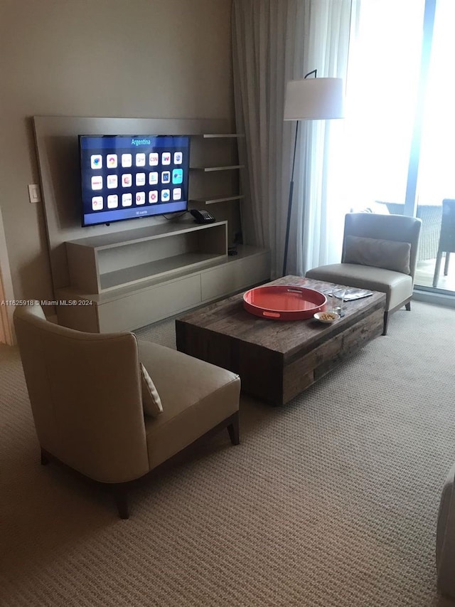 living room with carpet flooring