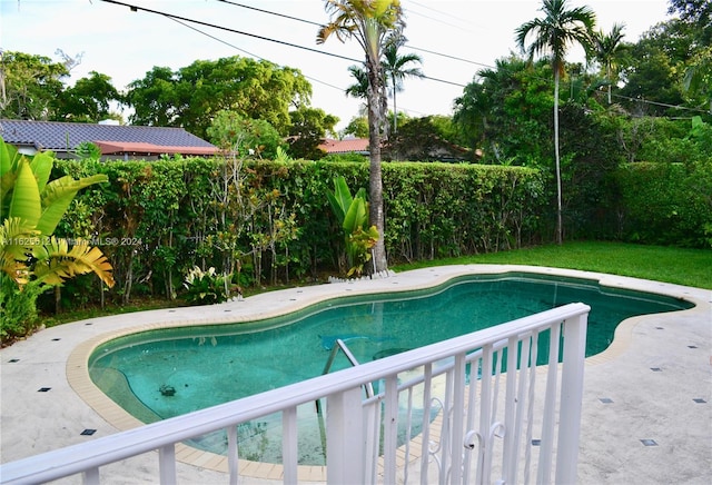 view of pool featuring a patio area